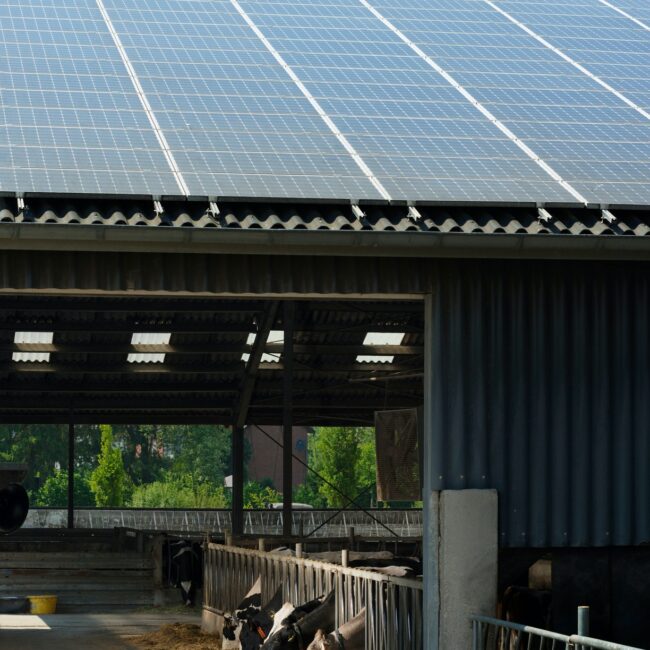 Solar panels on barn roof, Waldfeucht-Bocket, Germany